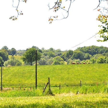 Domaine Du Castellare Bed & Breakfast Le Chalard Exterior photo